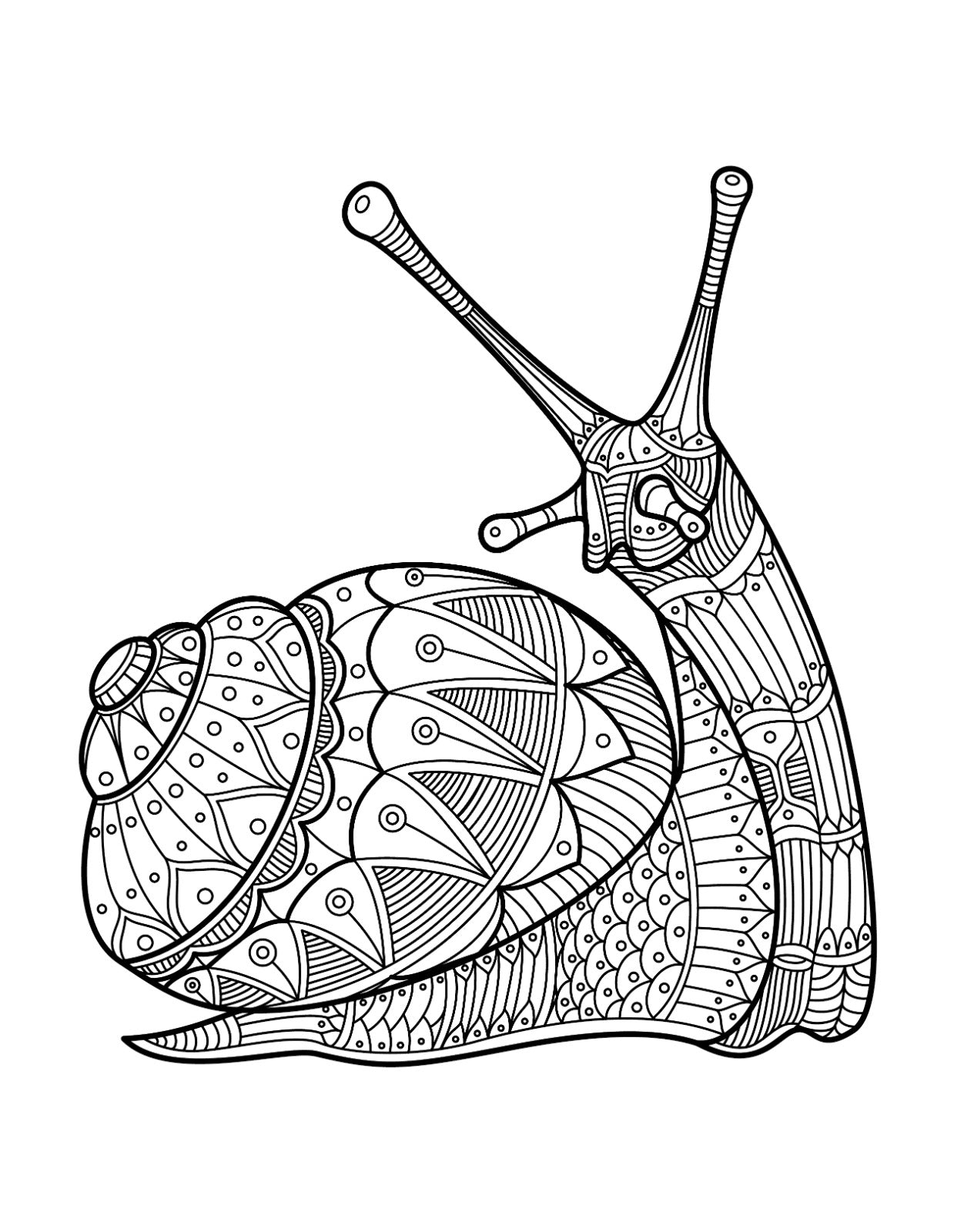 Coloreando Mandalas – Taco de Mandalas (Todas las edades)